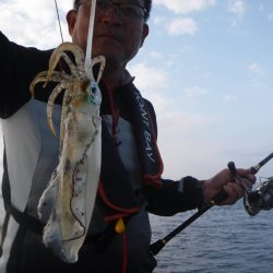 ブルースフィッシングサービス 釣果