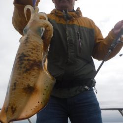 ブルースフィッシングサービス 釣果