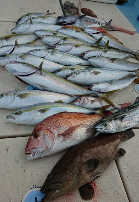 宝生丸 釣果