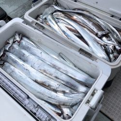 フィッシング キッタカ 釣果