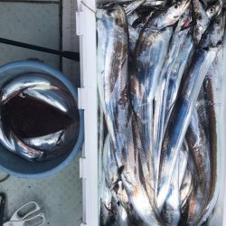 フィッシング キッタカ 釣果