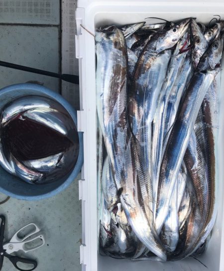 フィッシング　キッタカ 釣果