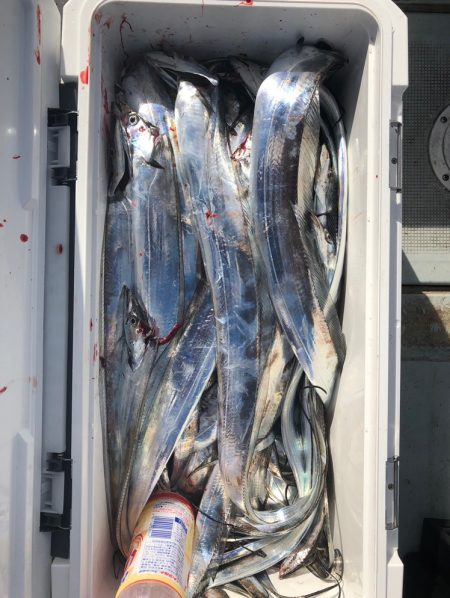 フィッシング キッタカ 釣果