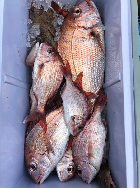 フィッシング キッタカ 釣果