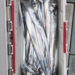 フィッシング キッタカ 釣果