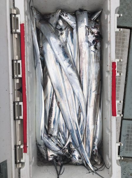 フィッシング キッタカ 釣果