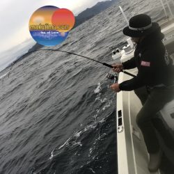 幕島丸 釣果