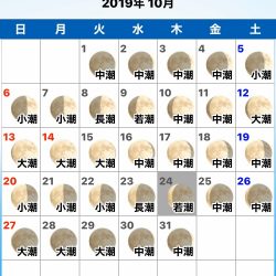 龍神丸(鹿児島) 釣果