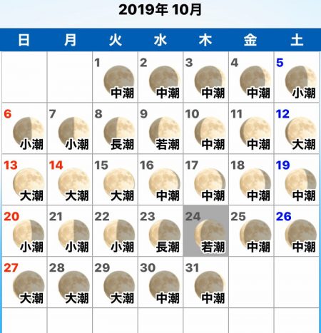 龍神丸(鹿児島) 釣果