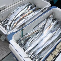 フィッシング キッタカ 釣果