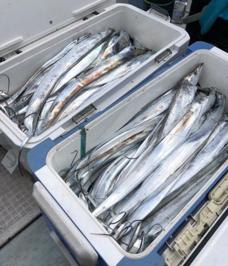 フィッシング キッタカ 釣果