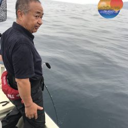 幕島丸 釣果