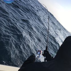 幕島丸 釣果