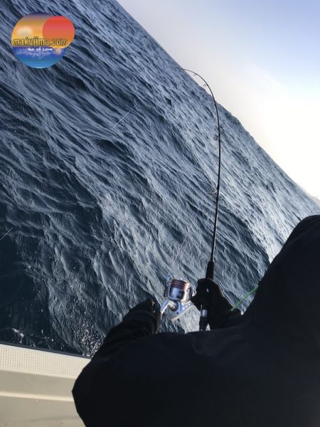 幕島丸 釣果