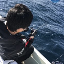幕島丸 釣果