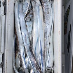 フィッシング キッタカ 釣果