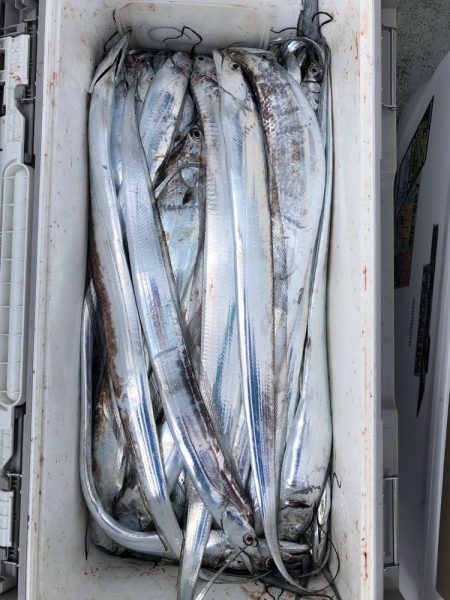 フィッシング キッタカ 釣果