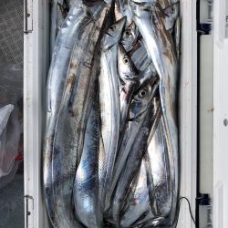 フィッシング キッタカ 釣果