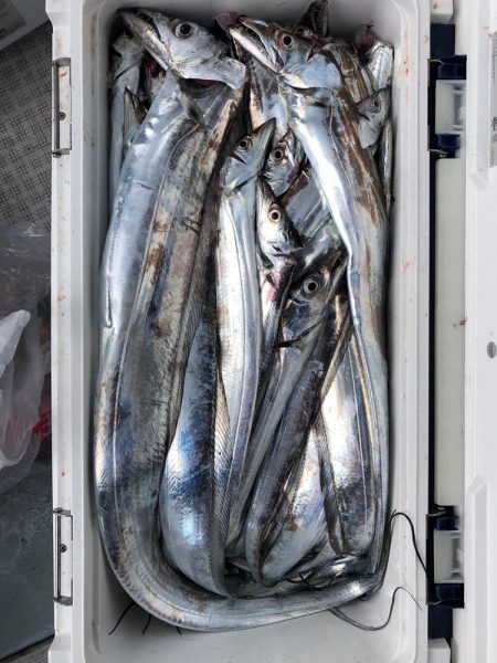 フィッシング キッタカ 釣果