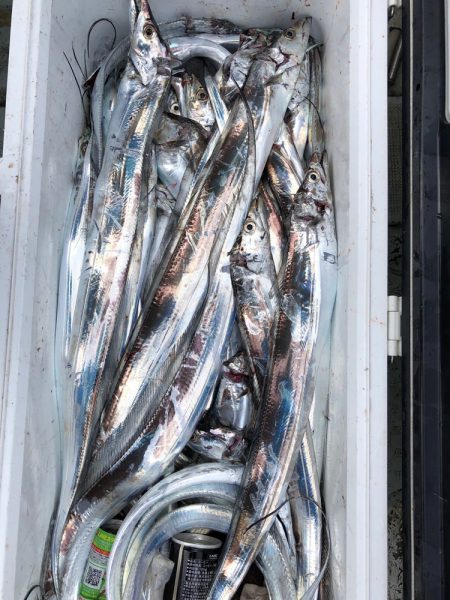 フィッシング キッタカ 釣果