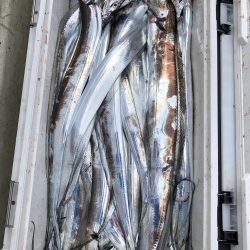 フィッシング キッタカ 釣果