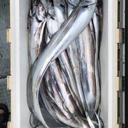 フィッシング キッタカ 釣果