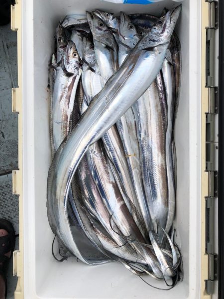 フィッシング キッタカ 釣果