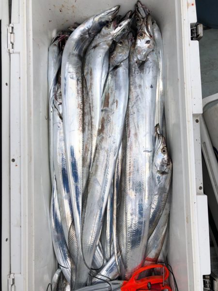 フィッシング キッタカ 釣果