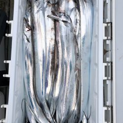 フィッシング キッタカ 釣果