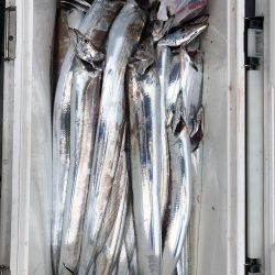 フィッシング キッタカ 釣果