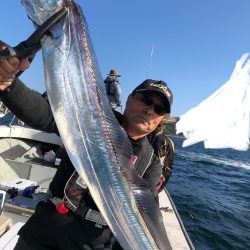 フィッシング キッタカ 釣果