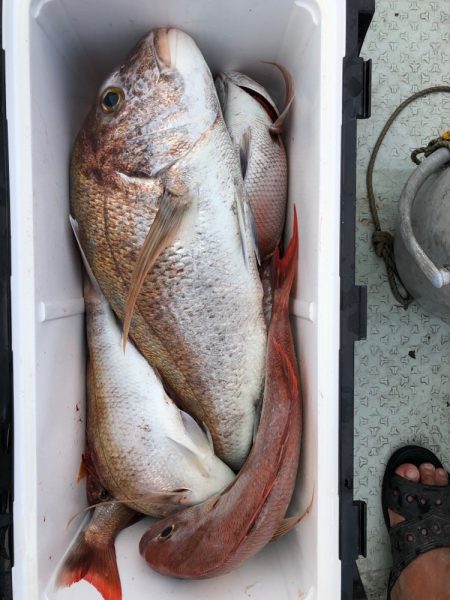 フィッシング キッタカ 釣果