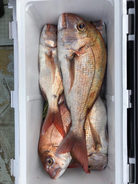 フィッシング キッタカ 釣果