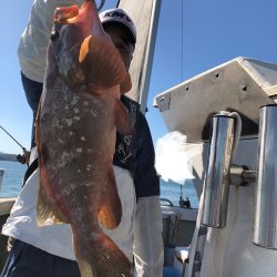 フィッシング キッタカ 釣果