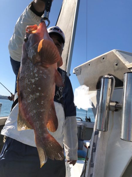 フィッシング キッタカ 釣果