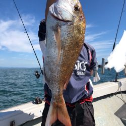 フィッシング キッタカ 釣果