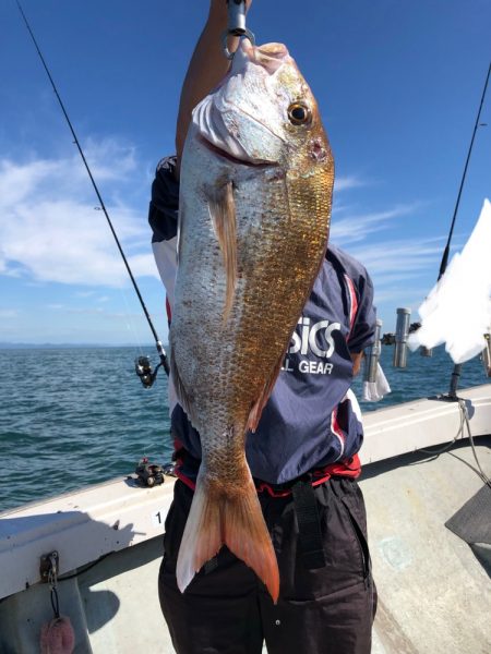 フィッシング キッタカ 釣果