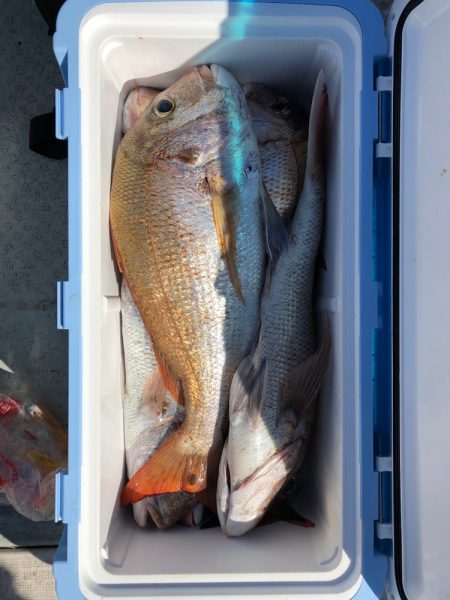 フィッシング キッタカ 釣果