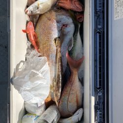 フィッシング キッタカ 釣果