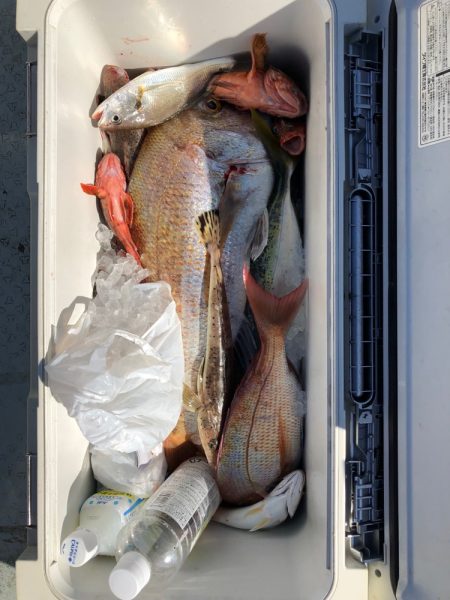 フィッシング キッタカ 釣果