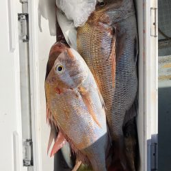 フィッシング キッタカ 釣果