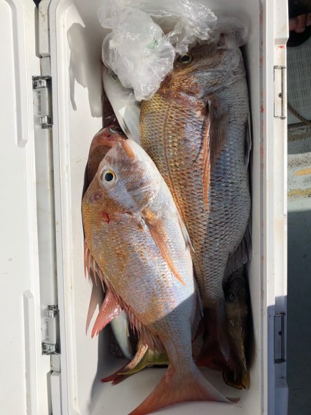 フィッシング キッタカ 釣果