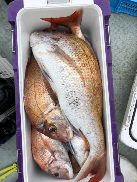 フィッシング キッタカ 釣果