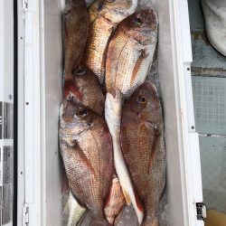 フィッシング キッタカ 釣果