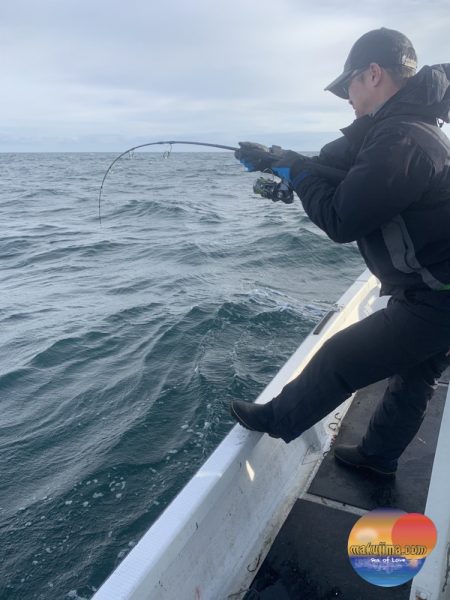 幕島丸 釣果