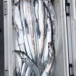 フィッシング キッタカ 釣果