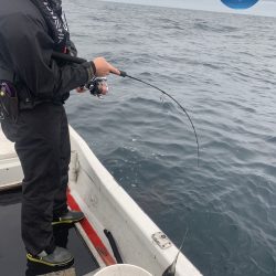 幕島丸 釣果
