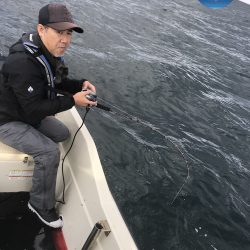 幕島丸 釣果
