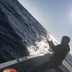 幕島丸 釣果