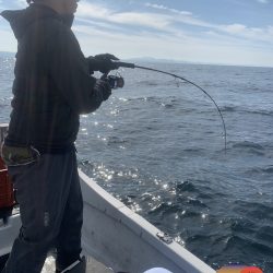 幕島丸 釣果